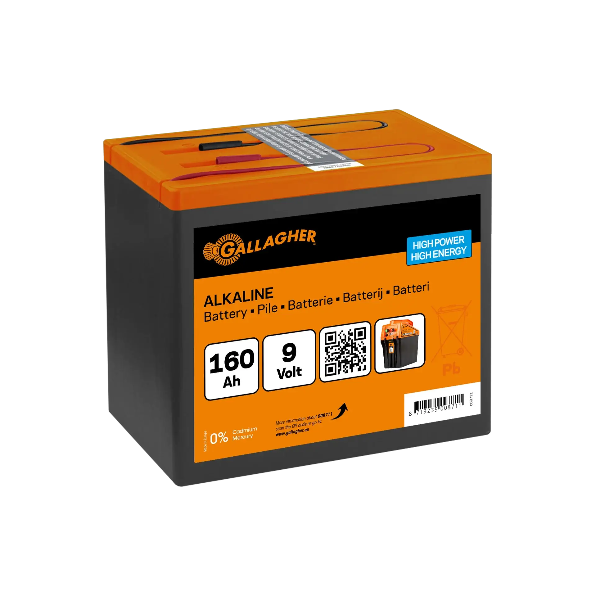 Batteria Alcalina 9V/160Ah (190x125x160mm)